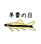 すいそう生物の日常スタンプ（個別スタンプ：9）