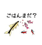 すいそう生物の日常スタンプ（個別スタンプ：12）