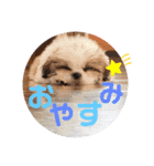 みんなの弟、ナビくんです。（個別スタンプ：1）