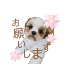 みんなの弟、ナビくんです。（個別スタンプ：4）