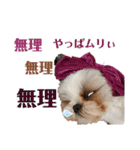 みんなの弟、ナビくんです。（個別スタンプ：9）