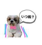 みんなの弟、ナビくんです。（個別スタンプ：11）