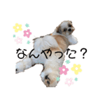 みんなの弟、ナビくんです。（個別スタンプ：12）