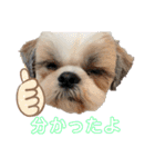 みんなの弟、ナビくんです。（個別スタンプ：14）