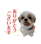 みんなの弟、ナビくんです。（個別スタンプ：15）