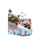 ♡可愛すぎるショコラさん♡（個別スタンプ：2）