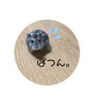 にこん言います。（個別スタンプ：3）