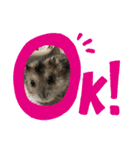 にこん言います。（個別スタンプ：7）