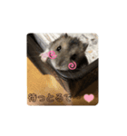 にこん言います。（個別スタンプ：8）