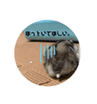 にこん言います。（個別スタンプ：9）