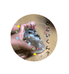 にこん言います。（個別スタンプ：10）