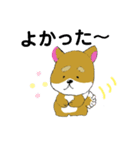 しば犬 しんのすけ（個別スタンプ：3）