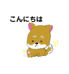 しば犬 しんのすけ（個別スタンプ：4）