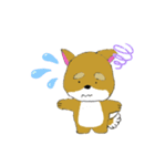 しば犬 しんのすけ（個別スタンプ：11）