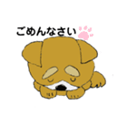 しば犬 しんのすけ（個別スタンプ：14）