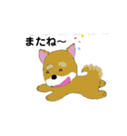 しば犬 しんのすけ（個別スタンプ：15）