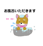 しば犬 しんのすけ（個別スタンプ：16）