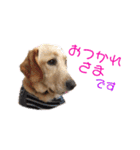 らぶらどーる エルくん 『あいづち』（個別スタンプ：7）
