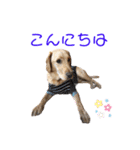らぶらどーる エルくん 『あいづち』（個別スタンプ：14）