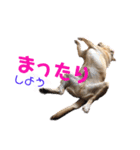 らぶらどーる エルくん 『あいづち』（個別スタンプ：18）