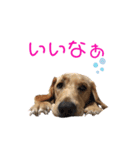 らぶらどーる エルくん 『あいづち』（個別スタンプ：21）