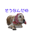 らぶらどーる エルくん 『あいづち』（個別スタンプ：26）