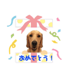 らぶらどーる エルくん 『あいづち』（個別スタンプ：30）