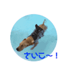 らぶらどーる エルくん 『あいづち』（個別スタンプ：32）