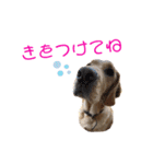 らぶらどーる エルくん 『あいづち』（個別スタンプ：35）