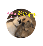 らぶらどーる エルくん 『あいづち』（個別スタンプ：38）
