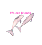 Wild dolphin スナメリ1 by DRONE（個別スタンプ：6）