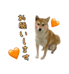 もなさらスタンプ（個別スタンプ：8）