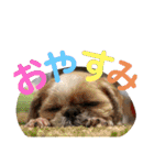 くだらないスタンプ修正（個別スタンプ：13）
