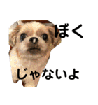 くだらないスタンプ修正（個別スタンプ：15）