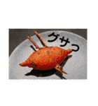 くだらないスタンプ修正（個別スタンプ：40）
