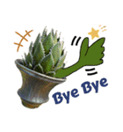 AGAVE LOVERのためのアガベスタンプ（個別スタンプ：8）
