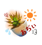 AGAVE LOVERのためのアガベスタンプ（個別スタンプ：23）