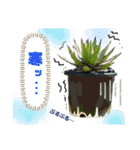 AGAVE LOVERのためのアガベスタンプ（個別スタンプ：24）