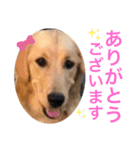 nico.nicoびより☺︎博多弁たい！＋（個別スタンプ：13）
