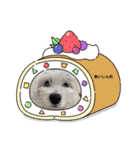 面白いウエスティ（個別スタンプ：3）