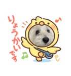 面白いウエスティ（個別スタンプ：6）