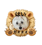 面白いウエスティ（個別スタンプ：10）