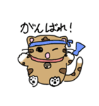 毎日を笑顔にする とらねこスタンプ！（個別スタンプ：8）