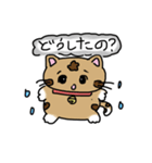 毎日を笑顔にする とらねこスタンプ！（個別スタンプ：13）