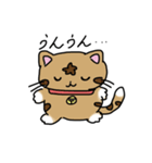 毎日を笑顔にする とらねこスタンプ！（個別スタンプ：14）