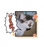 うちのたーちゃん＋（個別スタンプ：12）