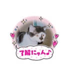 うちのたーちゃん＋（個別スタンプ：18）
