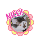 うちのたーちゃん＋（個別スタンプ：19）