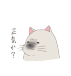 ねこあざらしさん（個別スタンプ：19）