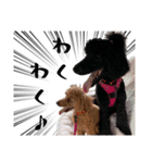 かわいい犬のサリーとライアン（個別スタンプ：3）